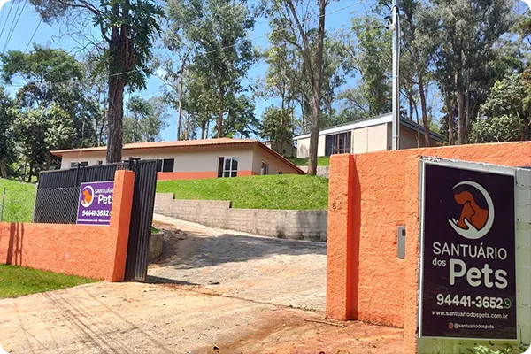 Funerária PET em São Paulo